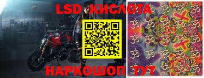 ГАЛЛЮЦИНОГЕННЫЕ ГРИБЫ Боровичи