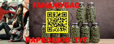 a pvp Брянск