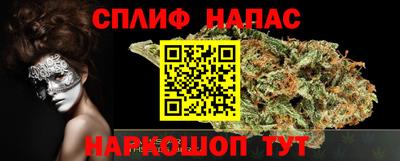 a pvp Брянск
