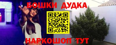 a pvp Брянск