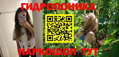 ГАЛЛЮЦИНОГЕННЫЕ ГРИБЫ Боровичи