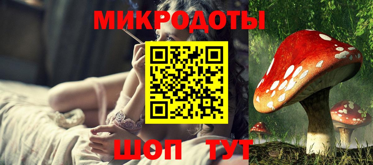 Псилоцибиновые грибы мухоморы Ачхой-Мартан