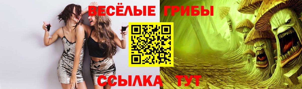 Ачхой-Мартан  Галлюциногенные грибы прущие грибы  Галлюциногенные грибы мухоморы  Вход с VPN 
